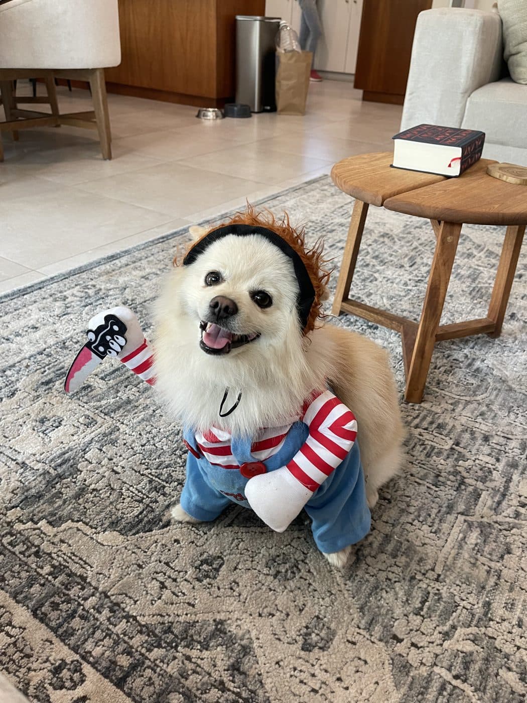 Napo the dog in a Halloween costume on a rug.